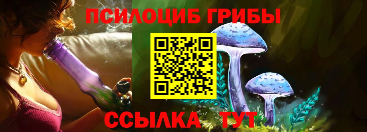 Псилоцибиновые грибы Psilocybine cubensis  Вход с VPN  Галлюциногенные грибы Cubensis  Сочи 
